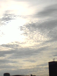 070808_0629~0001